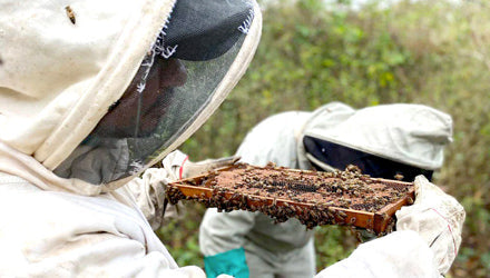 Apicultores de El Salado