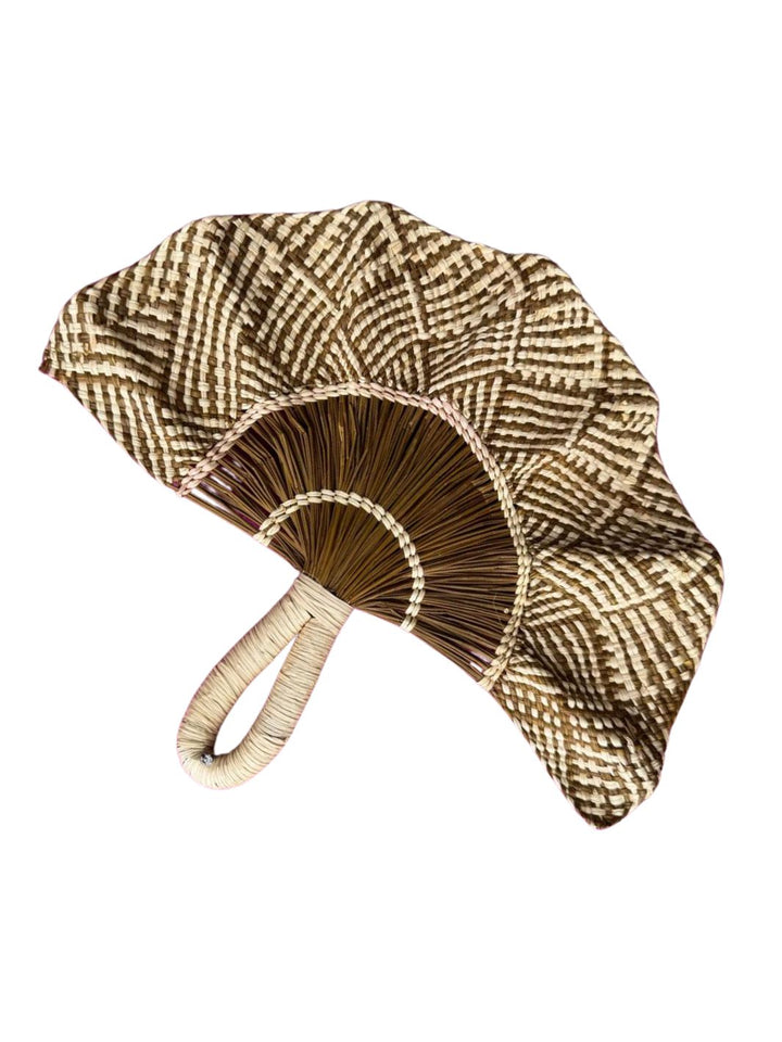 Abanico del Putumayo con ondas