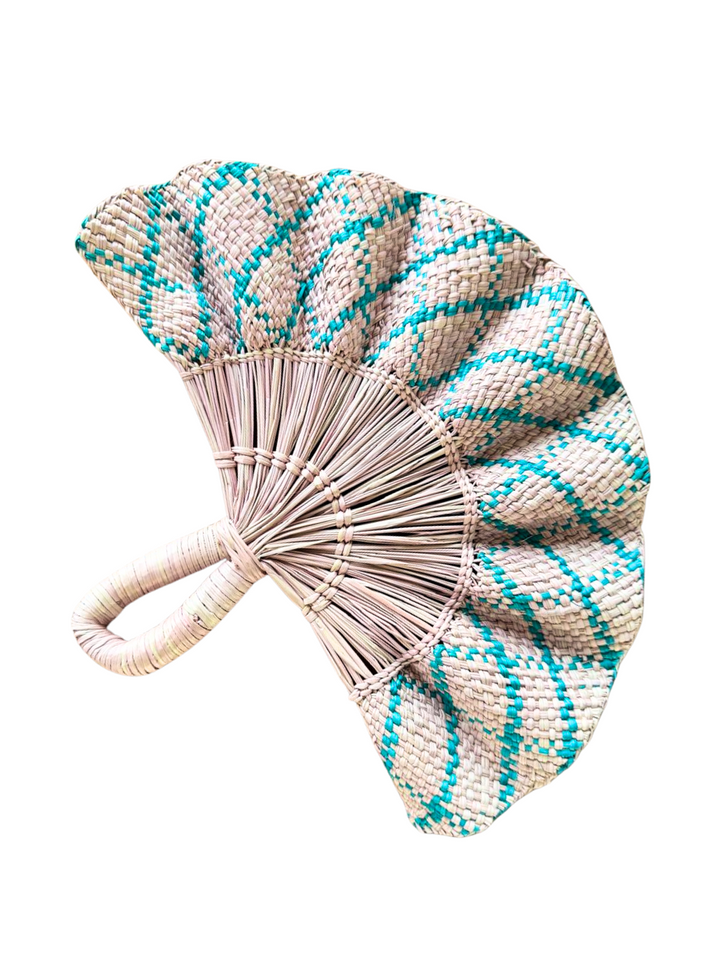Abanico del Putumayo con ondas