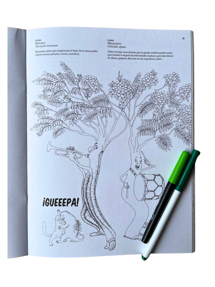 Libro de ilustraciones 'Hagamos un Bosque Entre Todos'