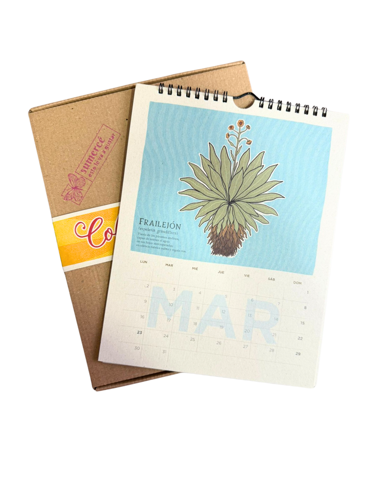 Planeador 2026: Colombia Pop Art