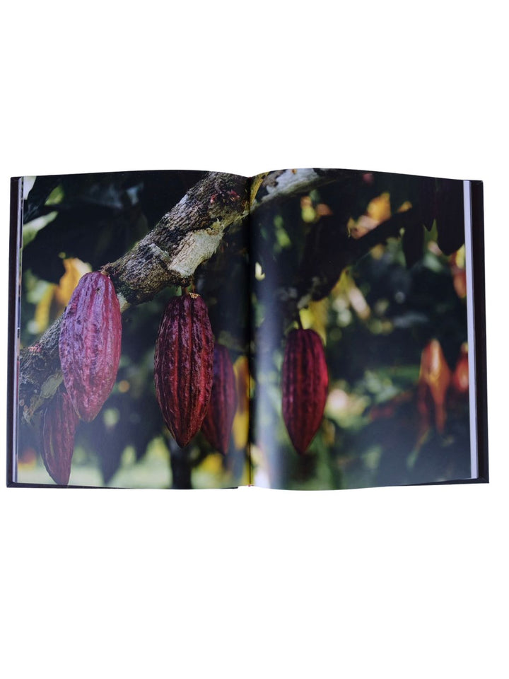 Libro Behind Cacao