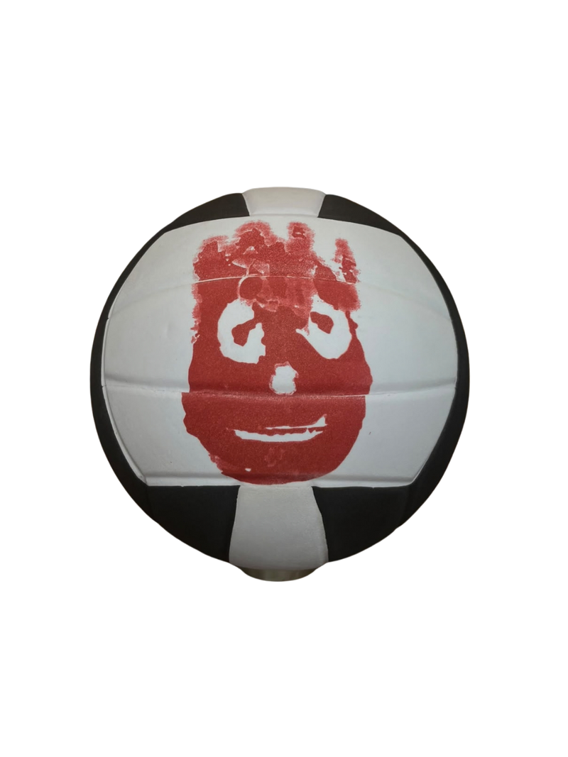 Balón de Volleyball MP